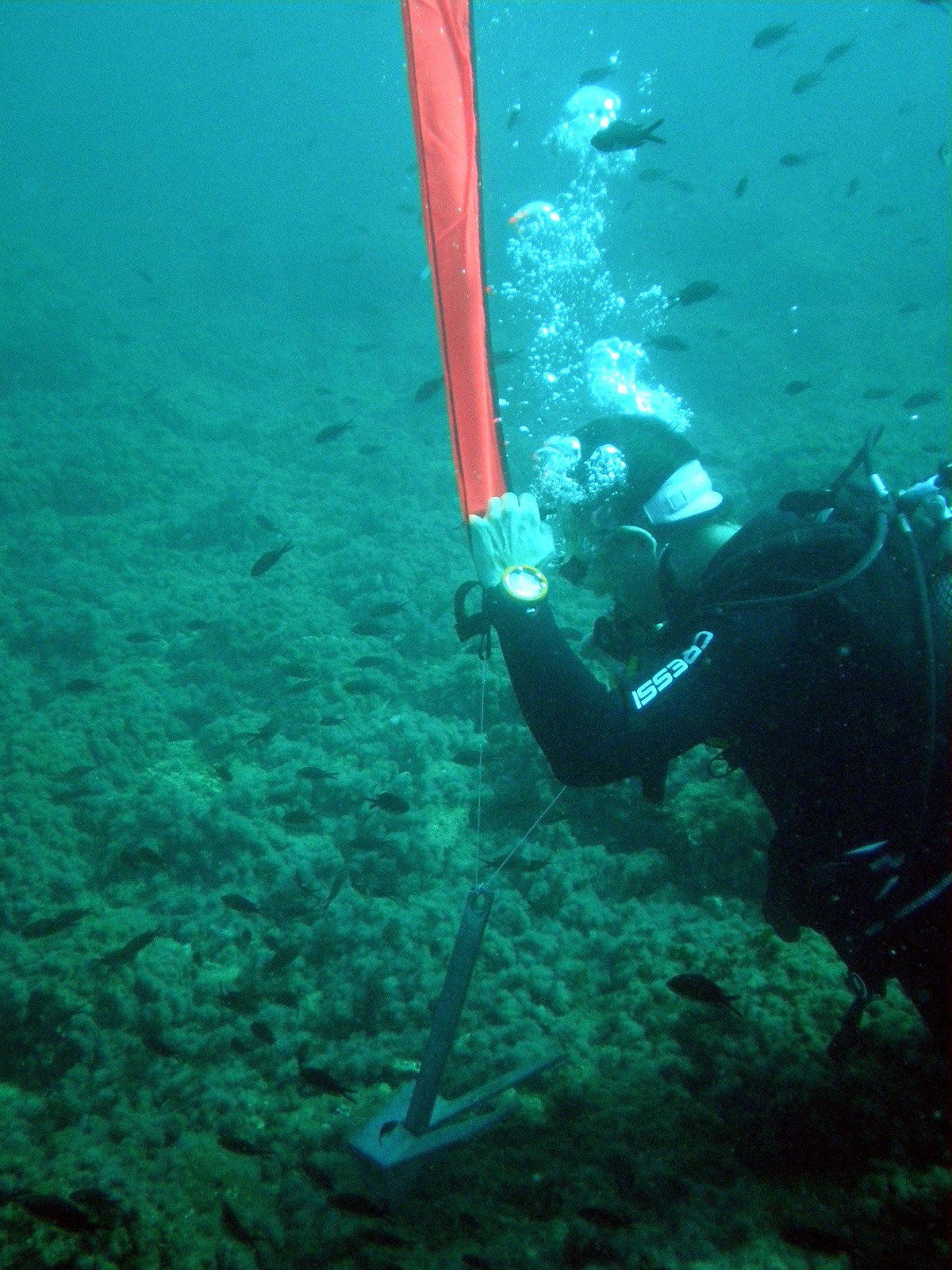 SSI Stress & Rescue course in Águilas