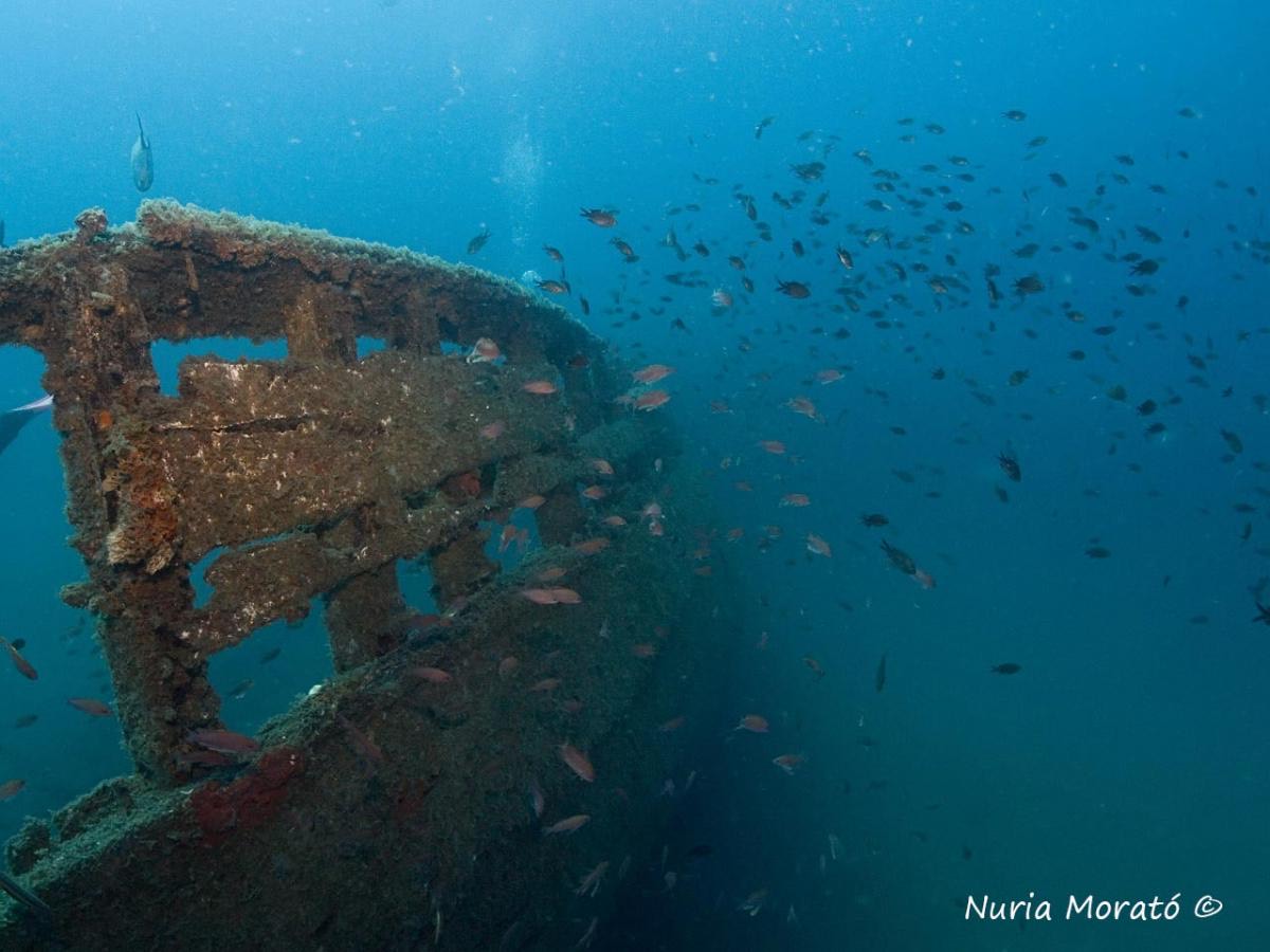 La Ruta de los Barcos