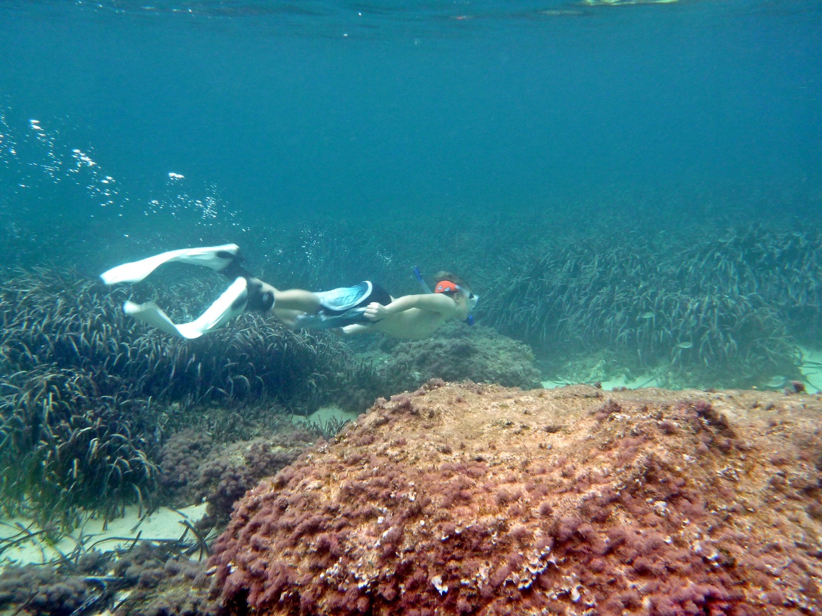 Excursión en barco y snorkel en Isla del Fraile
