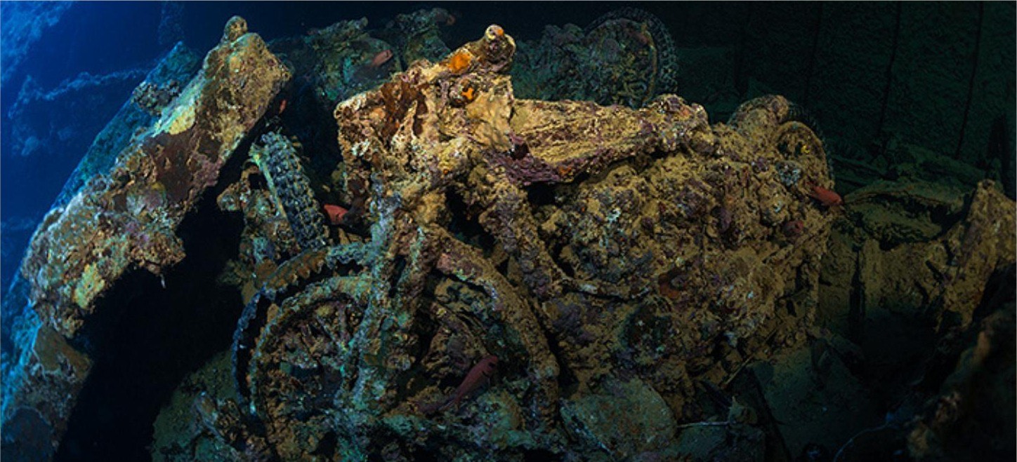 Red Sea diving trip
